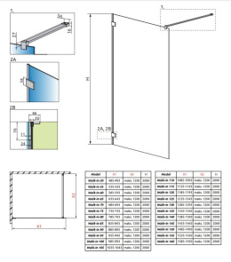 Radaway Essenza Pro Gold Walk-In ścianka prysznicowa 105 cm wolnostojąca złoty połysk/szkło przezroczyste 10103105-09-01