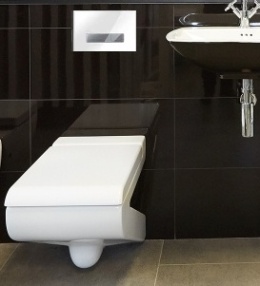 Werit/Jomo Trend Przycisk WC PCV biały/czarny 167-32000118-00/102-000000083