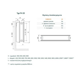Purmo Plan Hygiene FH20 Grzejnik płytowy 600x500, boczne podłączenie F092006005000300